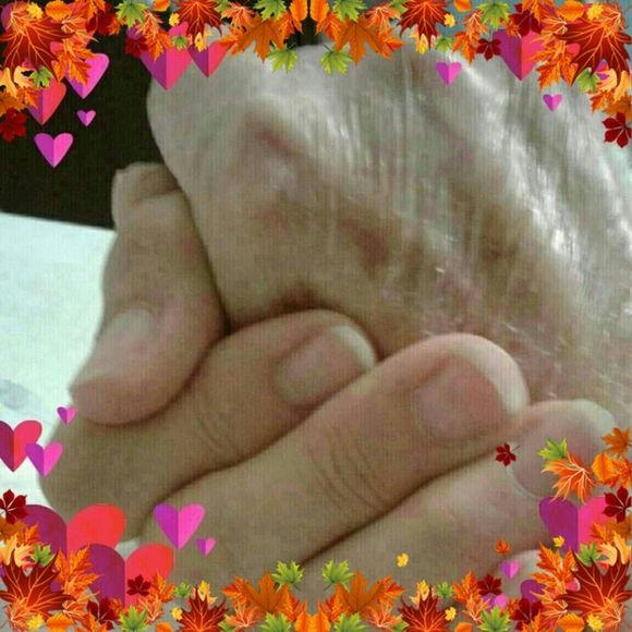 Meet your Posher, Cathy - Picture 1 of 1